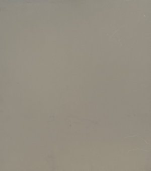 Taupe Dunkel